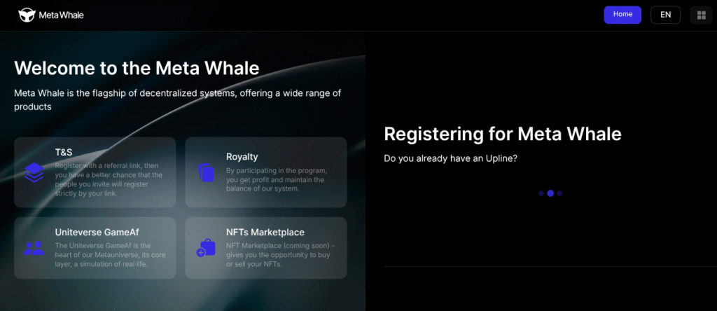 Registering for Meta Whale