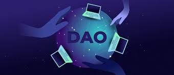 How DAO Shapes Meta Whale