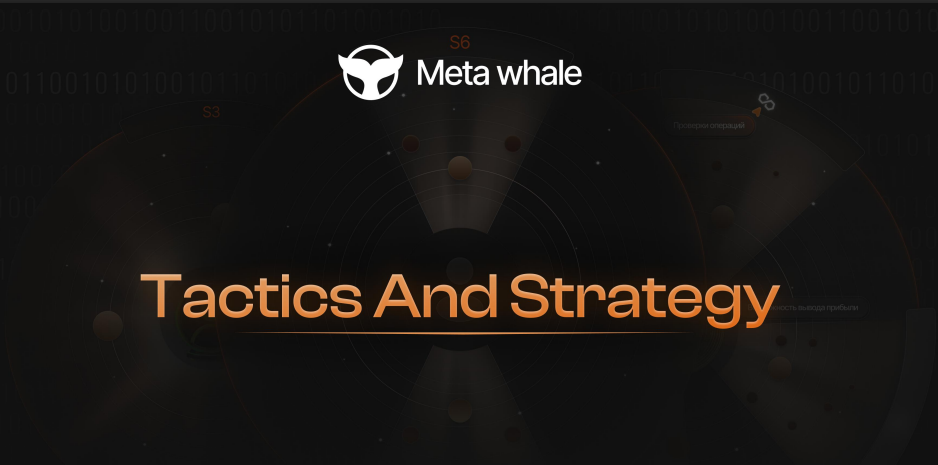 Meta Whale TS System Simplified