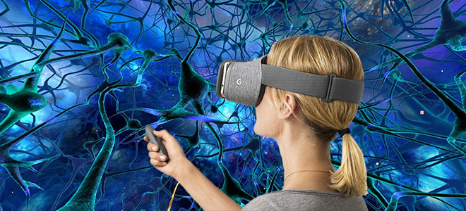 Meta Whale VR Integration