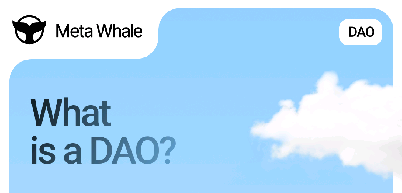 Meta whale DAO